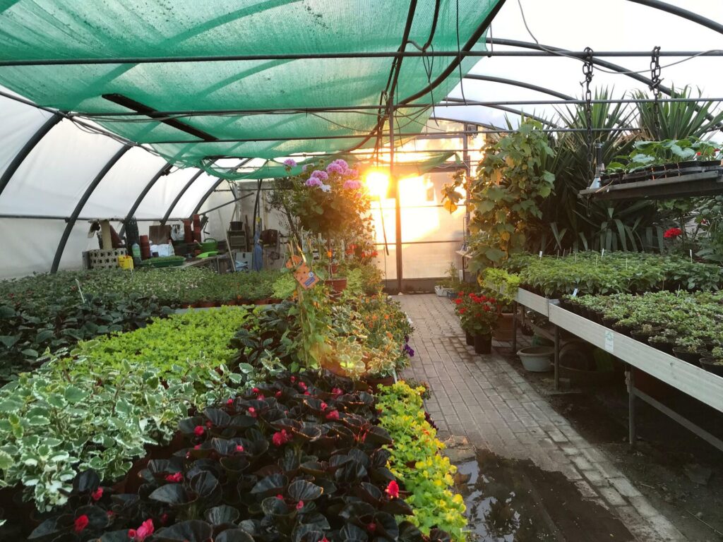 Momente – Blumenhof Kerst Walschleben, Bild 12