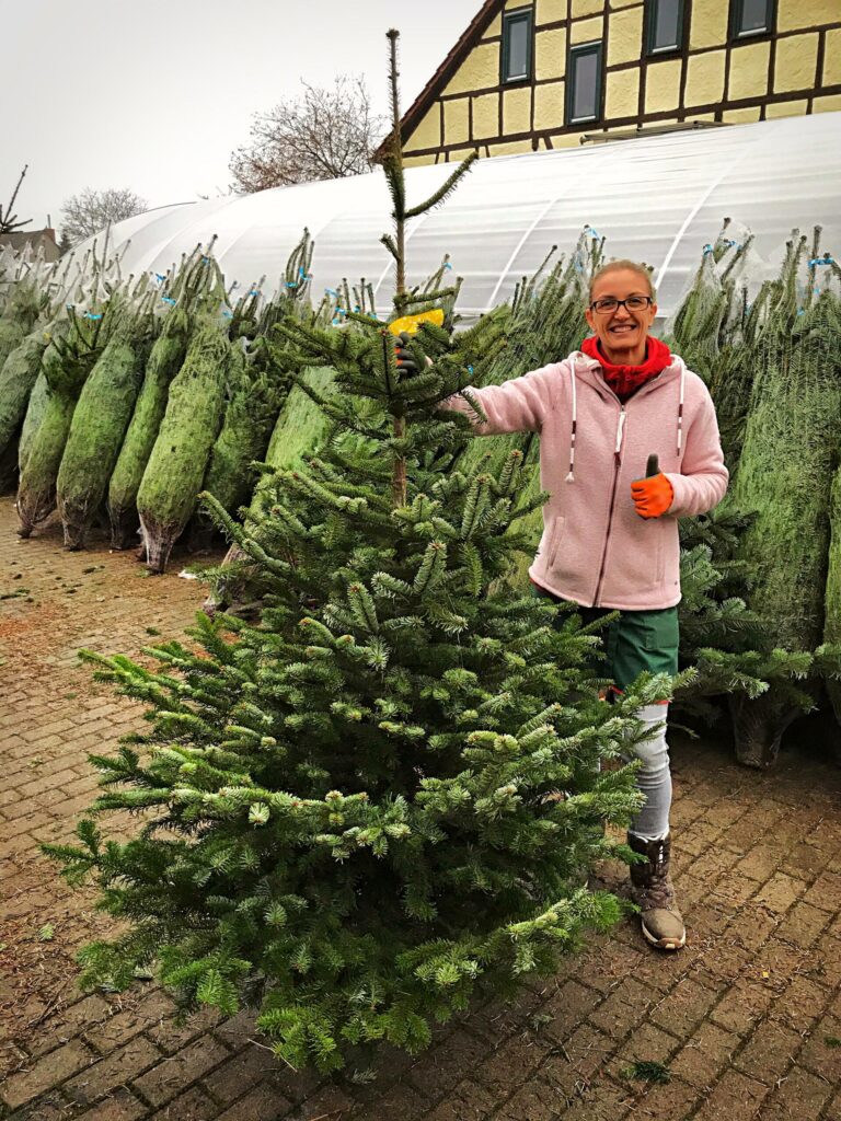 Home – Blumenhof Kerst Walschleben, Bild 2