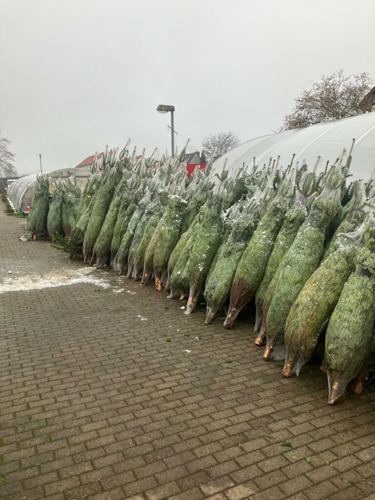 Momente – Blumenhof Kerst Walschleben, Bild 5